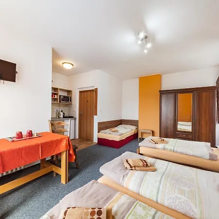 U Hraze Guest house 3*