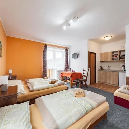 Guest house U Hraze 3*