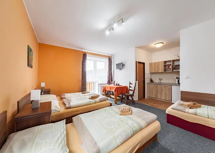 Гостевой дом U Hraze 3*